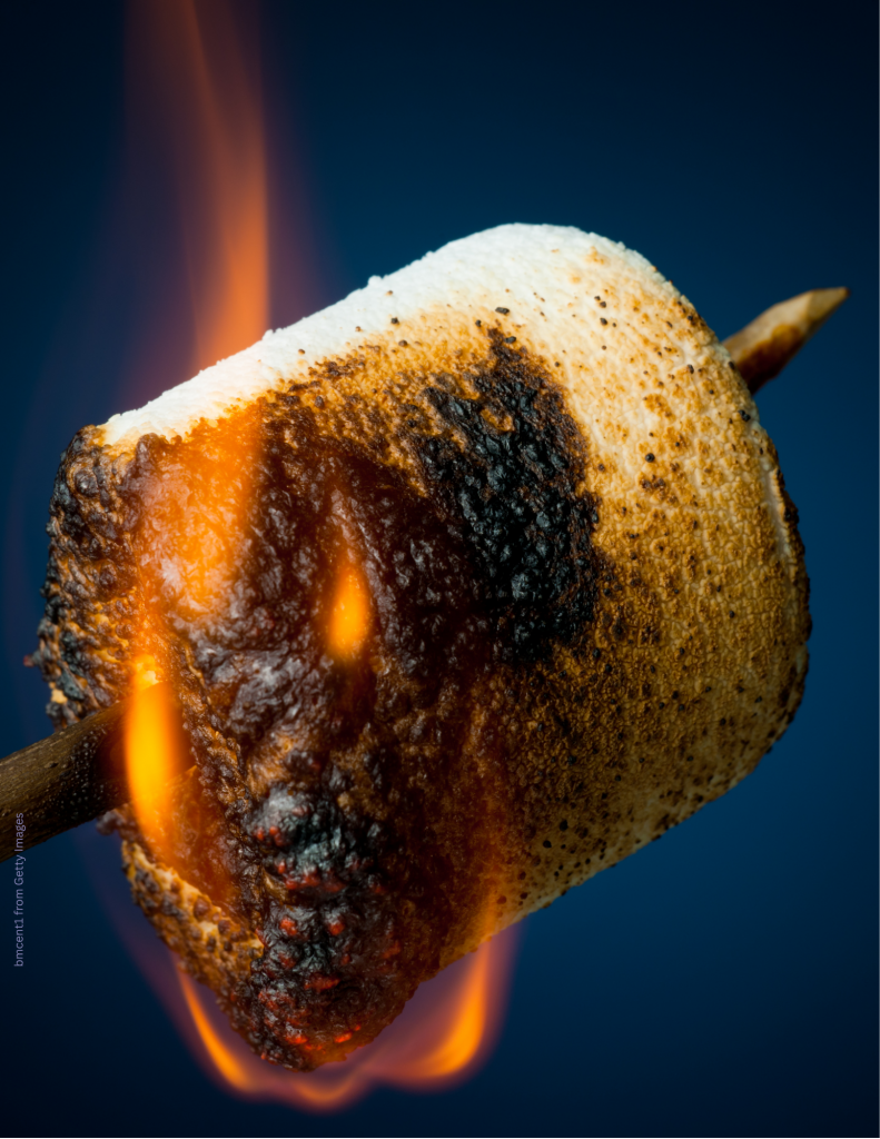 BON Fire Marshmallows